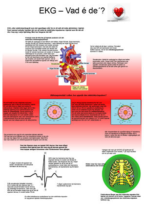 EKG - Poster 1 (pdf 201 kB, ny flik)