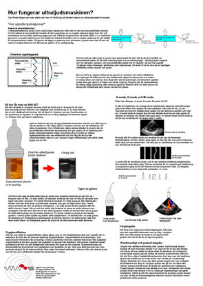 Hur fungerar ultraljudsmaskinen? - Poster (pdf 341 kB, ny flik).