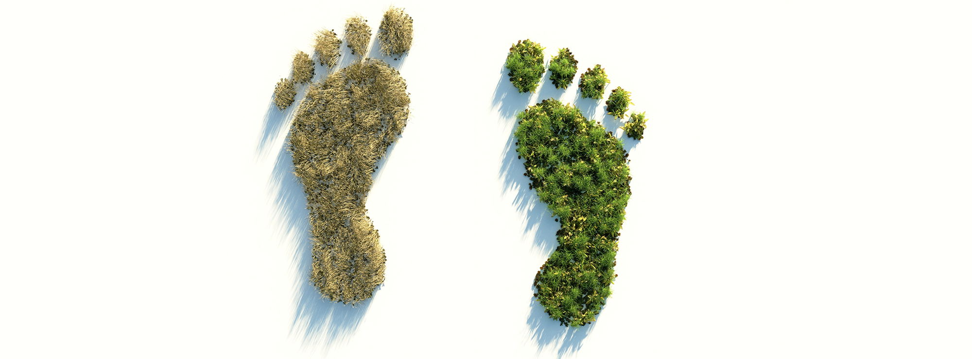 Ecological footprint. Photo: Colin Behrens, Pixabay.
