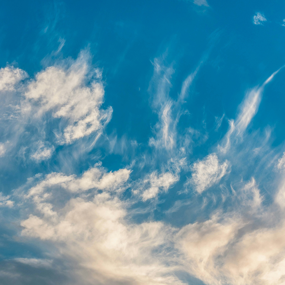 Fjädermoln på klarblå himmel. Foto